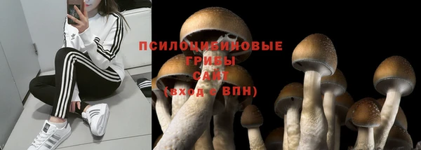 MDMA Армянск