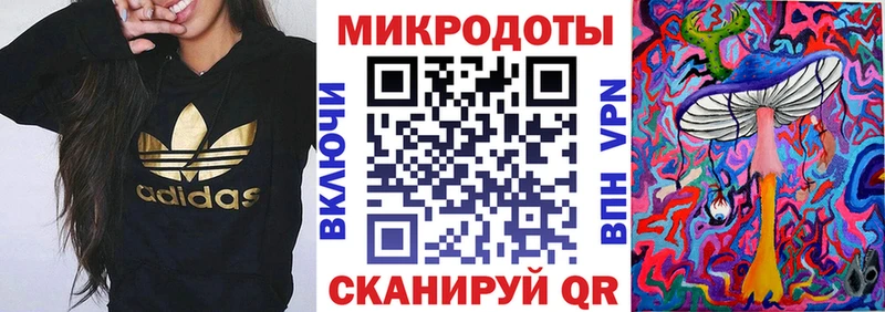 Псилоцибиновые грибы Psilocybe Бузулук